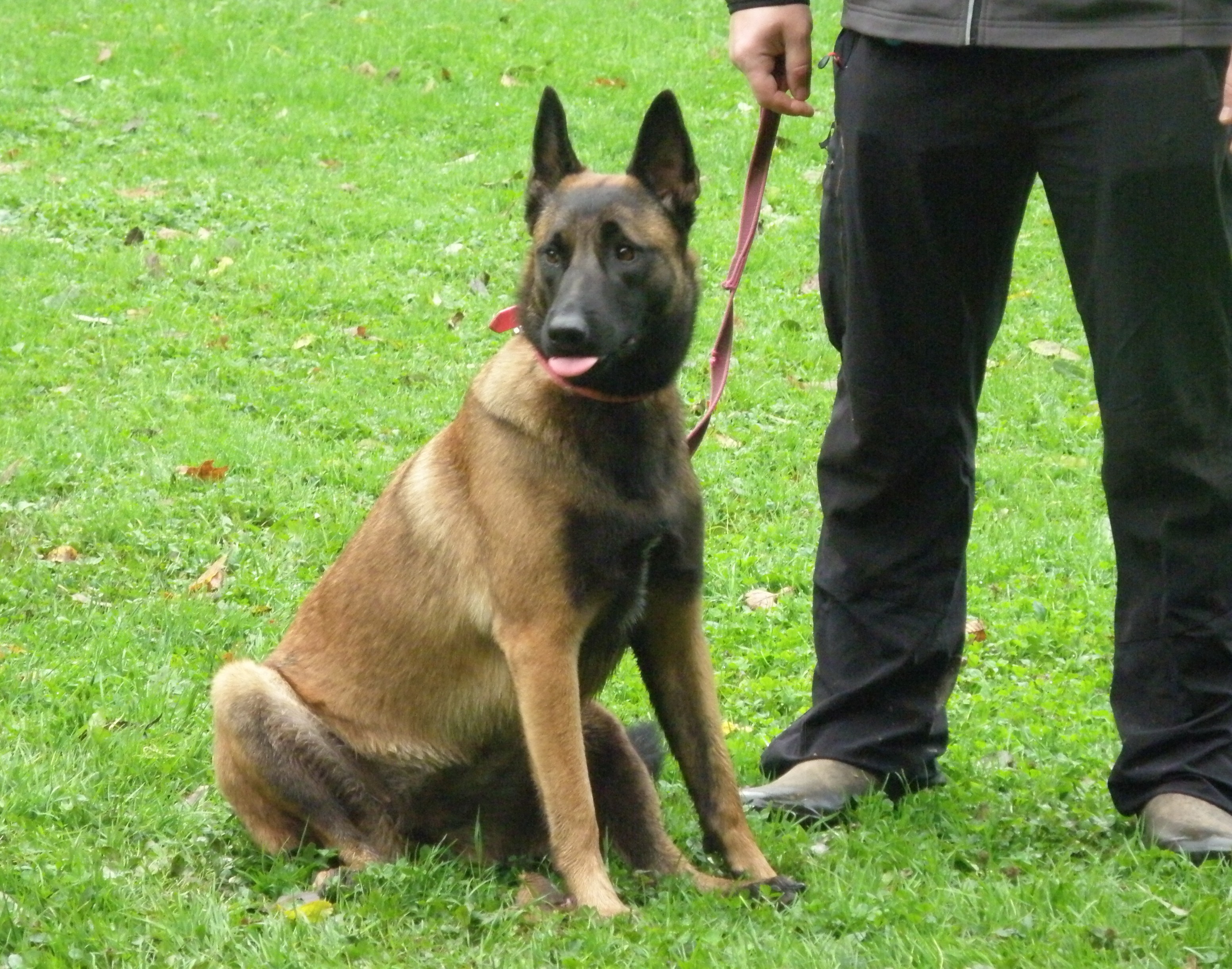 Pa130065